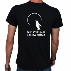 Kalıba Sığma T-Shirt
